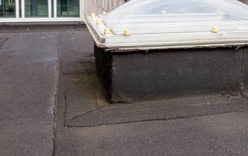disadvantages of Wortham flat roofs