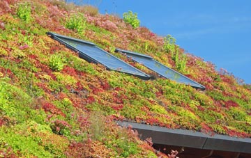 Wortham living roof systems