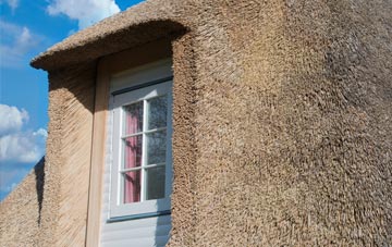 Wortham thatch roof disadvantages
